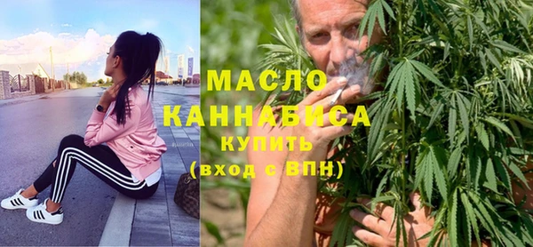эйфоретик Вяземский