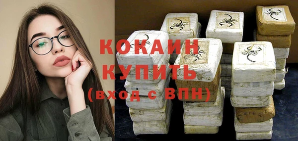 эйфоретик Вяземский