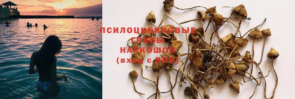 эйфоретик Вязники